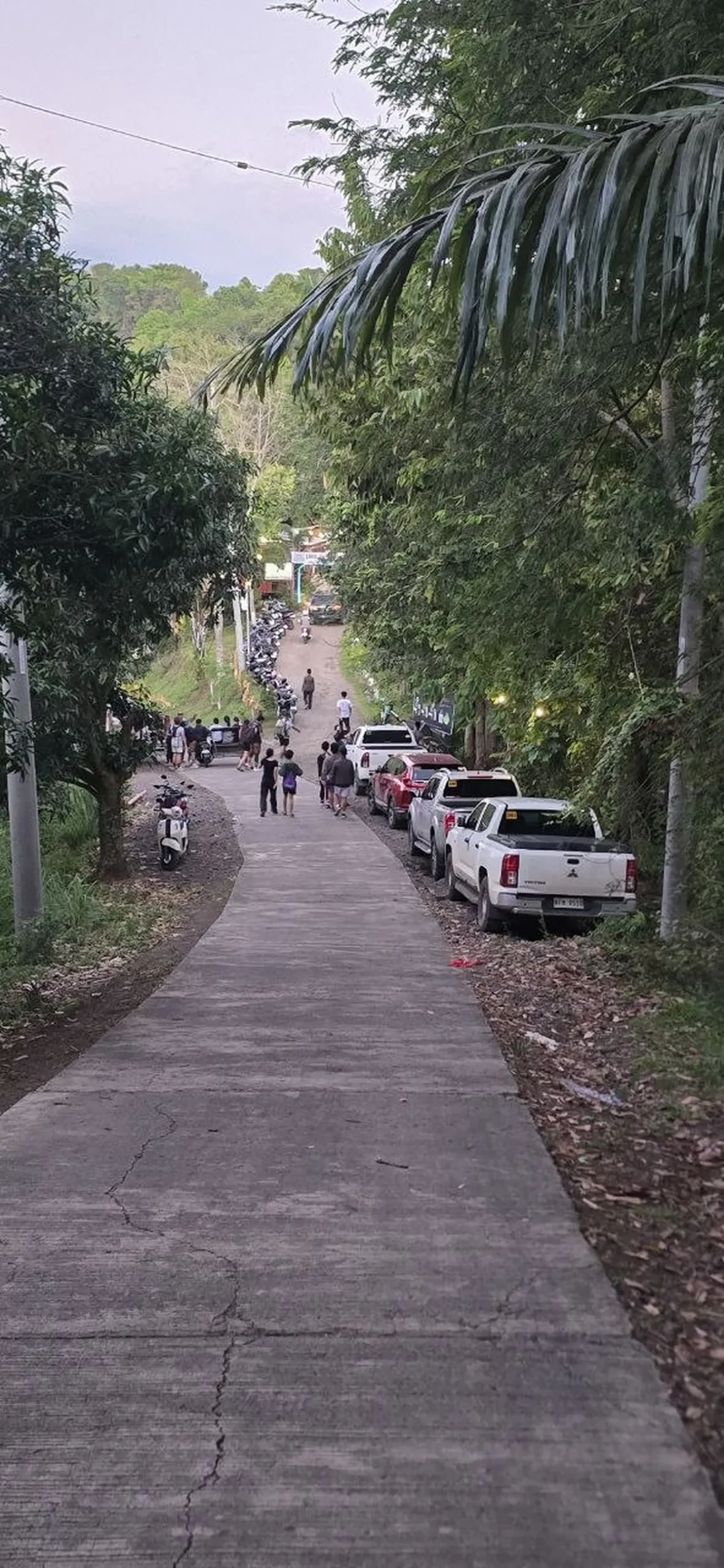 Hitting the Trail Before the Sun Does