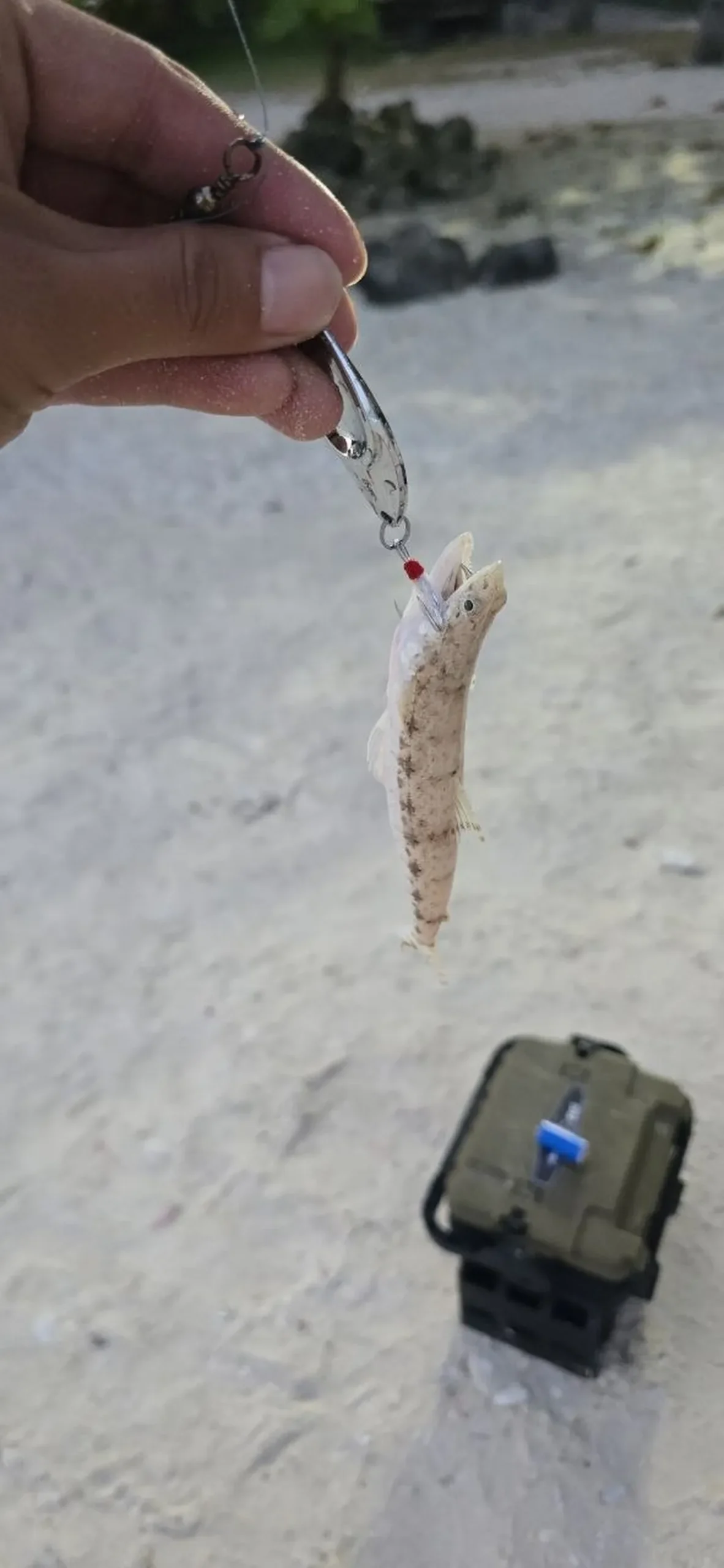 Escape to Talikud: Rough Edges, Real Connection, and Why Connectivity is King