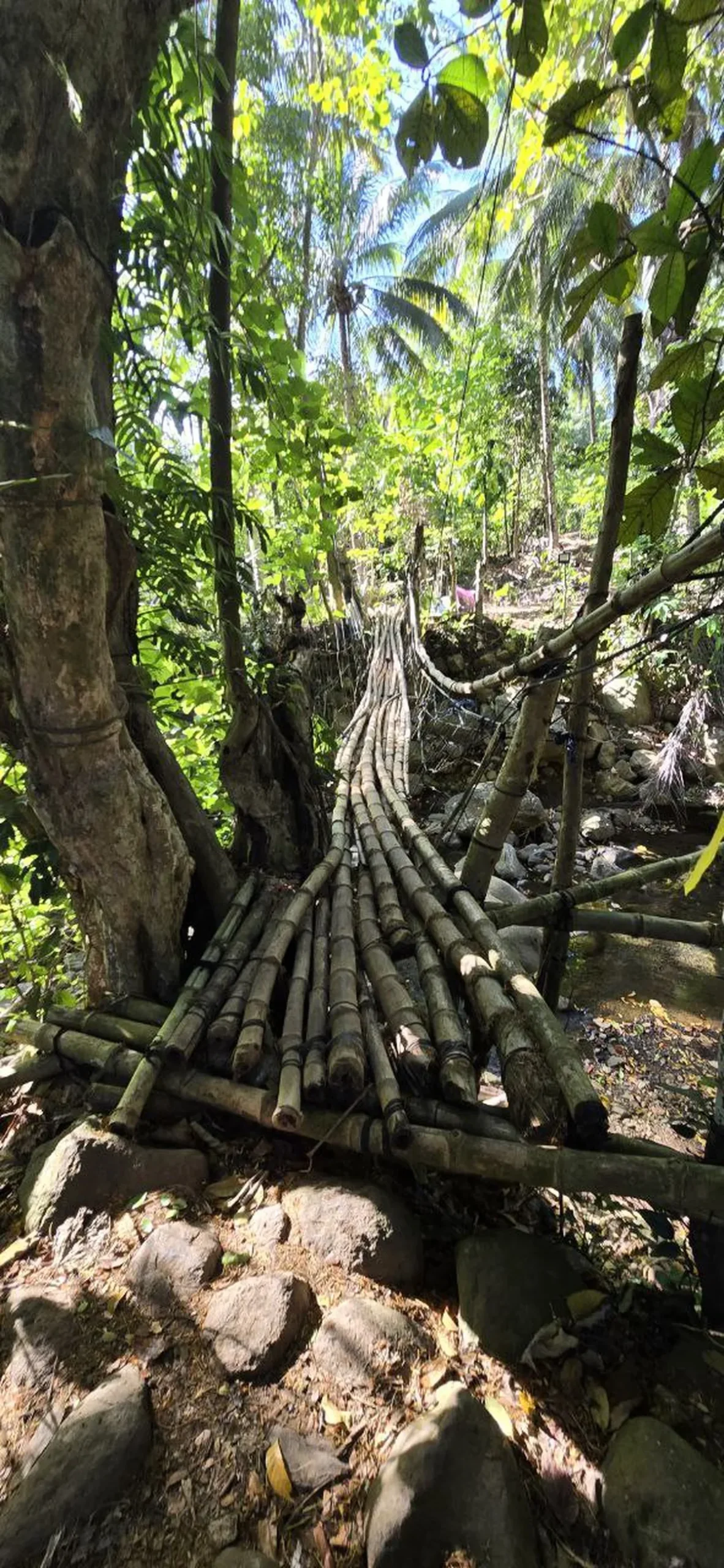 Hitting the Trail Before the Sun Does