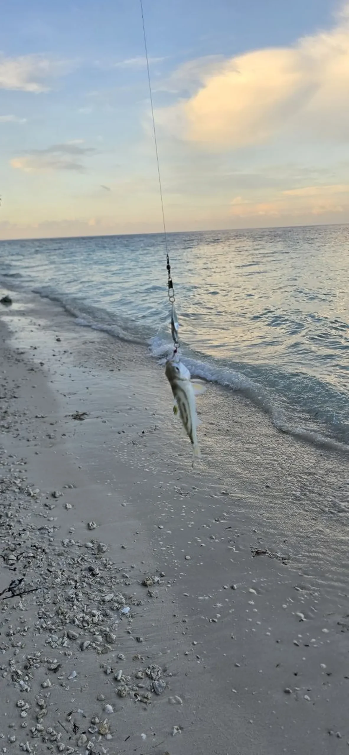 Escape to Talikud: Rough Edges, Real Connection, and Why Connectivity is King